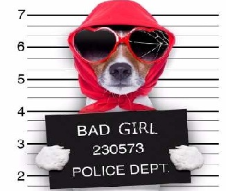 PAPEL ADESIVO PARA PAREDE BAD GIRL - CACHORROS 